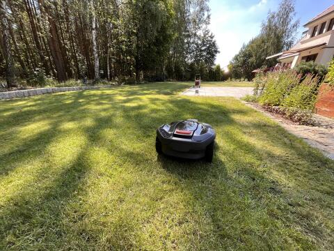 Robot koszący na trawniku