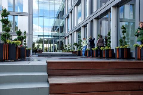 Nasadzenia w donicach dla PCSS – Poznań – zdjęcie 5