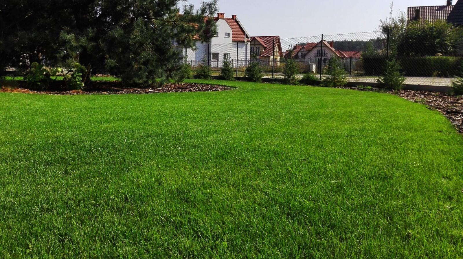 Ogród Piorunów – Szczytniki – zdjęcie 4