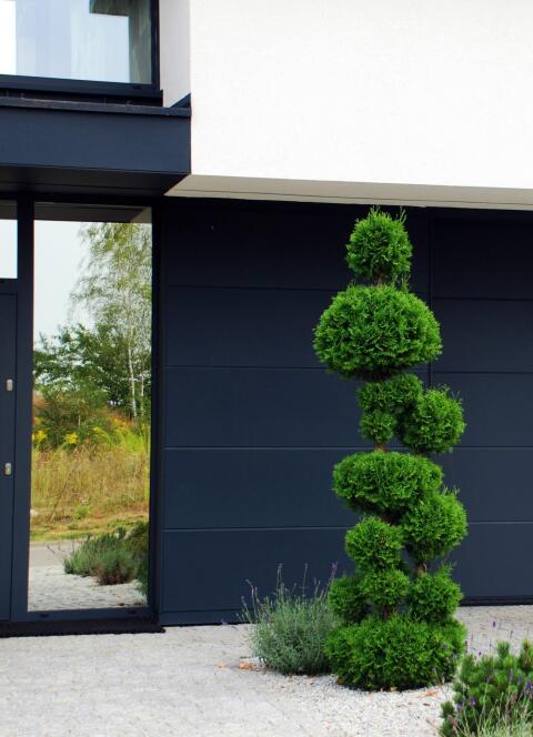 Ogród z motywem bonsai – Chyby – zdjęcie 3
